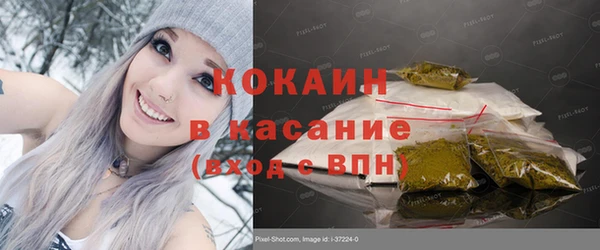 сатива Гусев