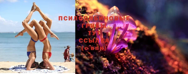 не бодяженный Гусь-Хрустальный