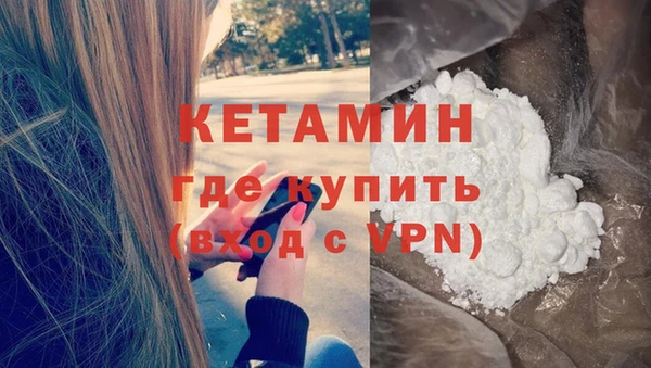сатива Гусев