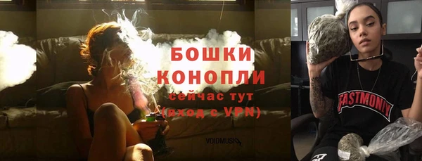 сатива Гусев