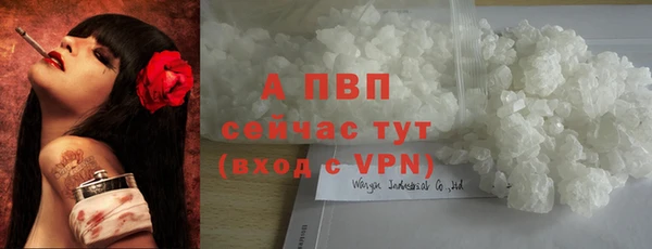 сатива Гусев