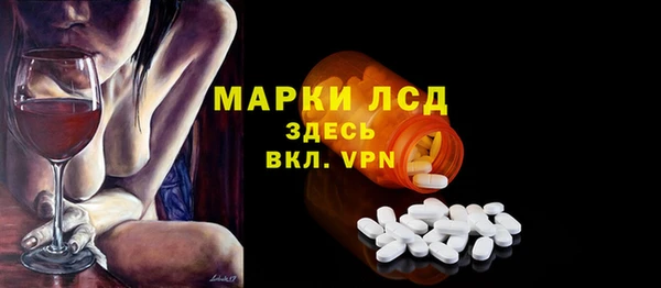 сатива Гусев