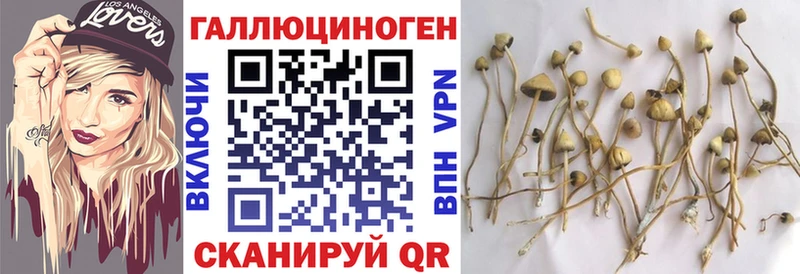 KRAKEN ссылки  Сызрань  Псилоцибиновые грибы мухоморы 